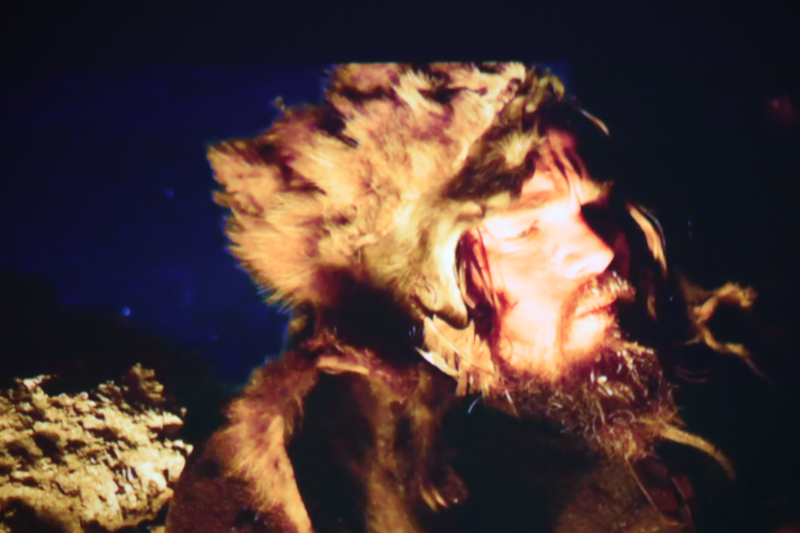 极米z4爵色支持激光翻页笔吗,极米z4爵色和极米z4air