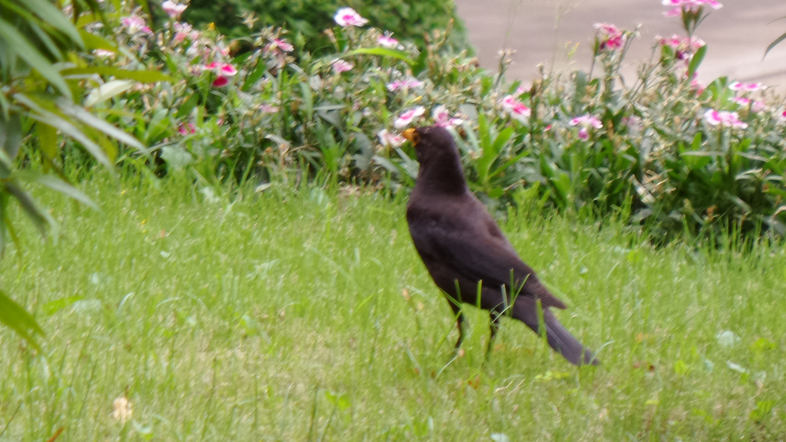 十倍光学变焦公认最好拍照手机,可变焦拍照神器