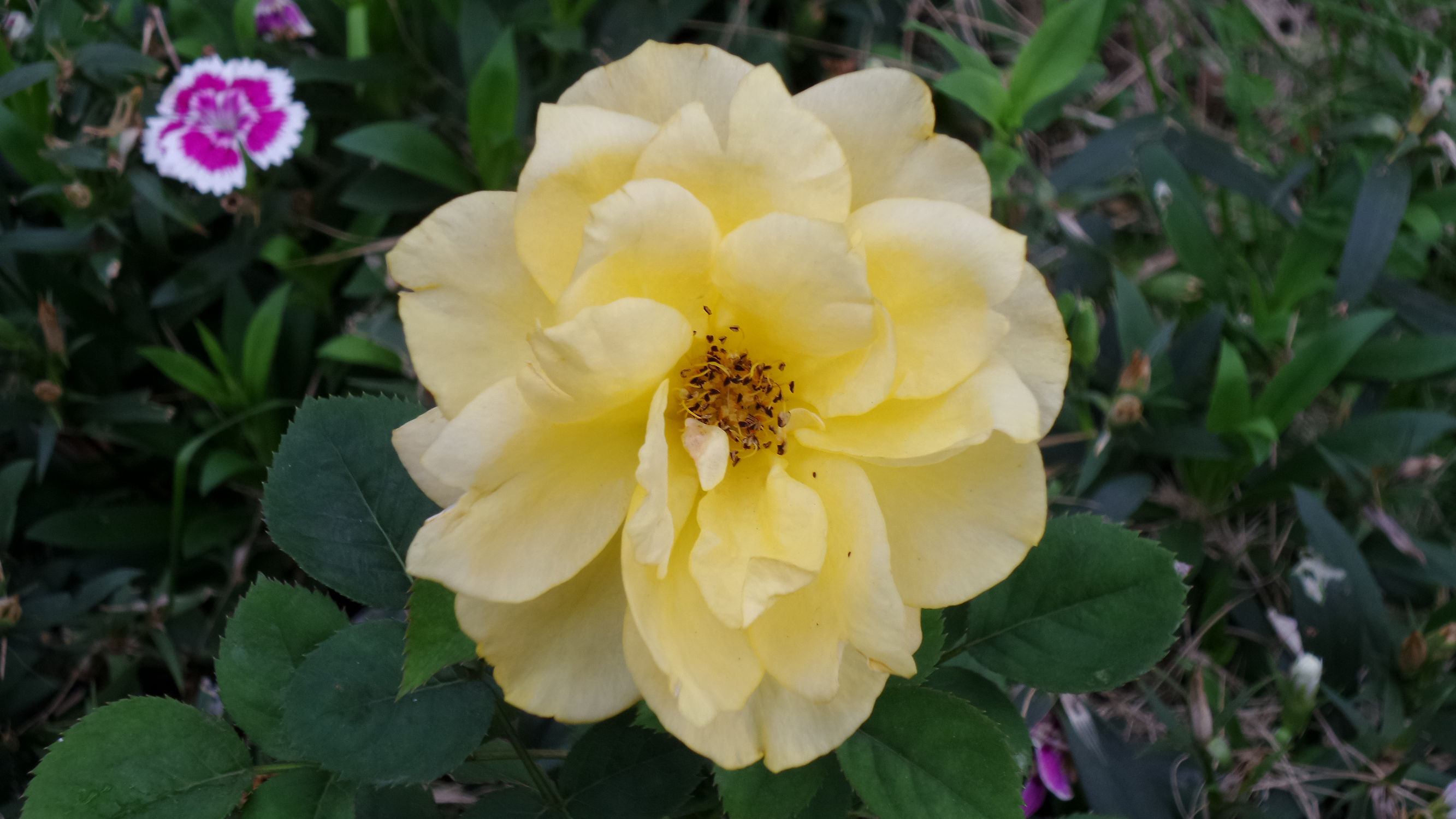 十倍光学变焦公认最好拍照手机,可变焦拍照神器