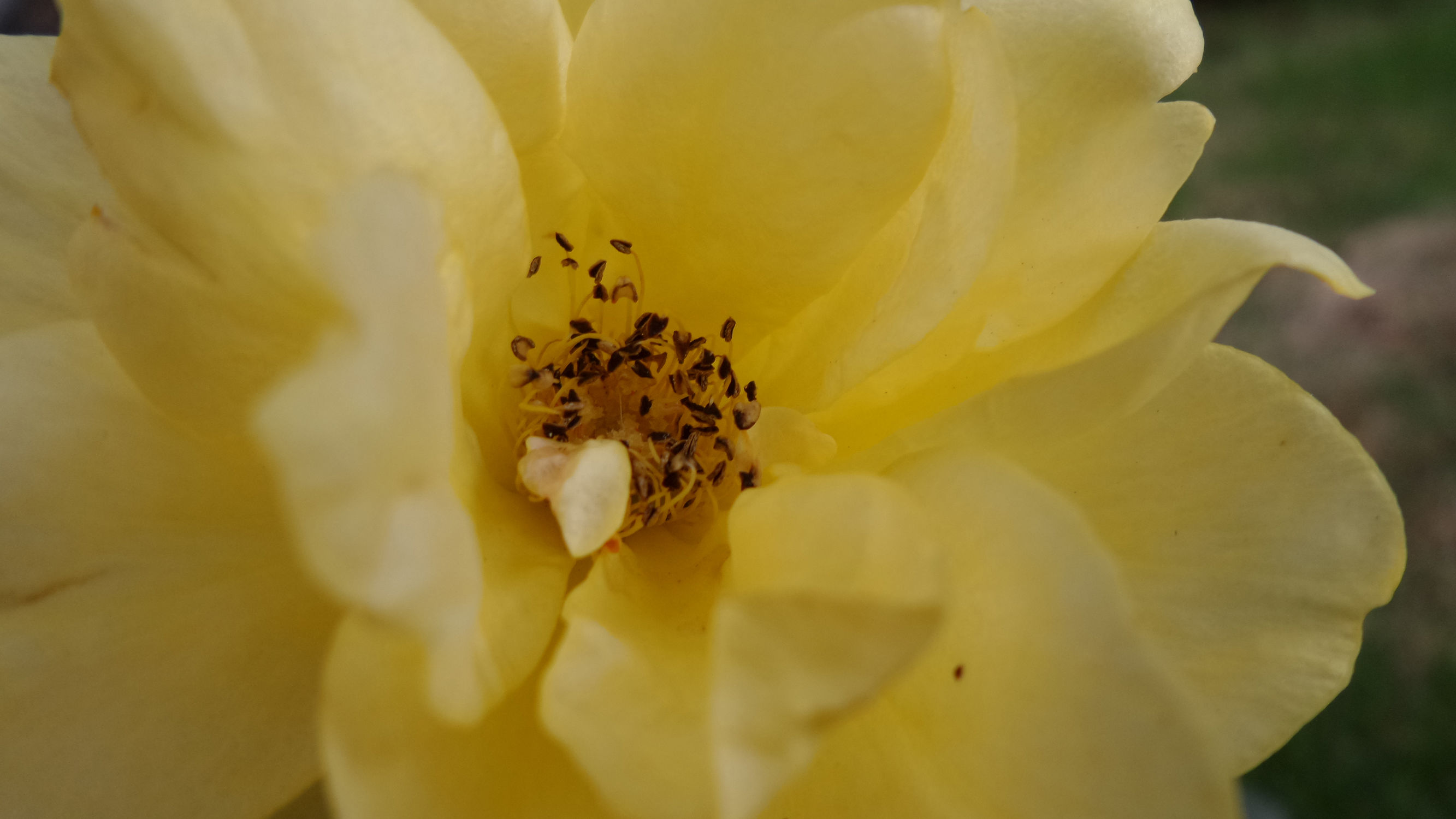 十倍光学变焦公认最好拍照手机,可变焦拍照神器