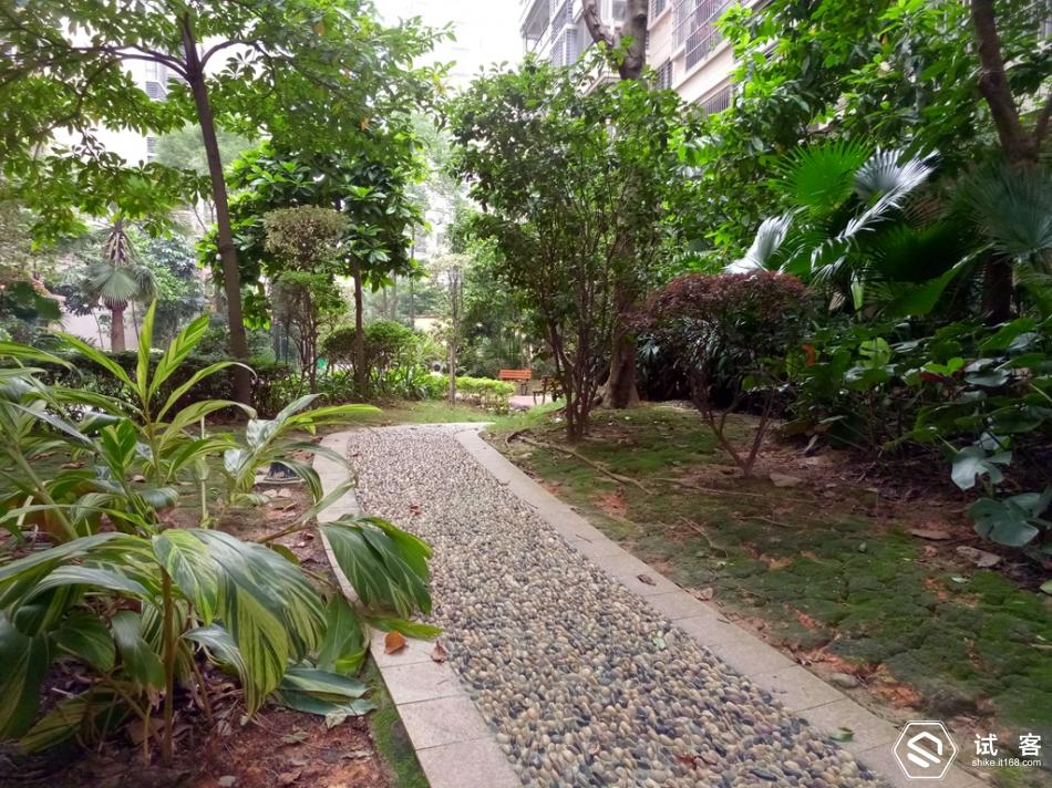 金立天鉴w909微信,金立天鉴w909主题