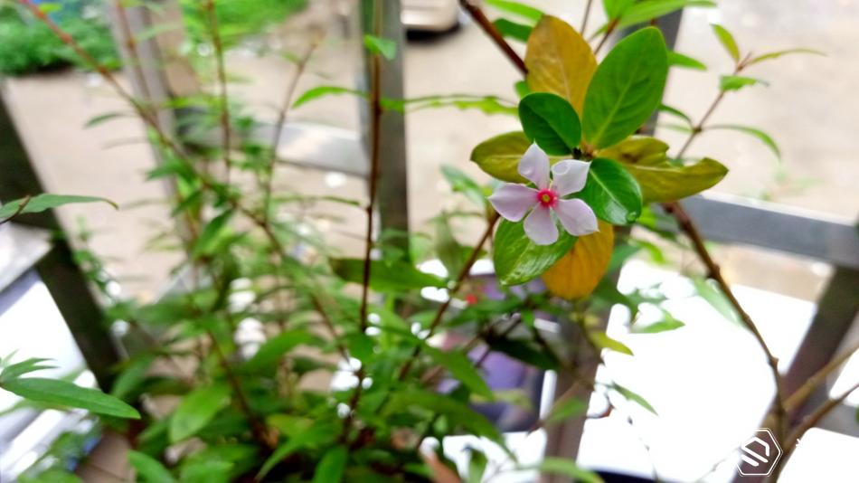 金立天鉴w909微信,金立天鉴w909主题