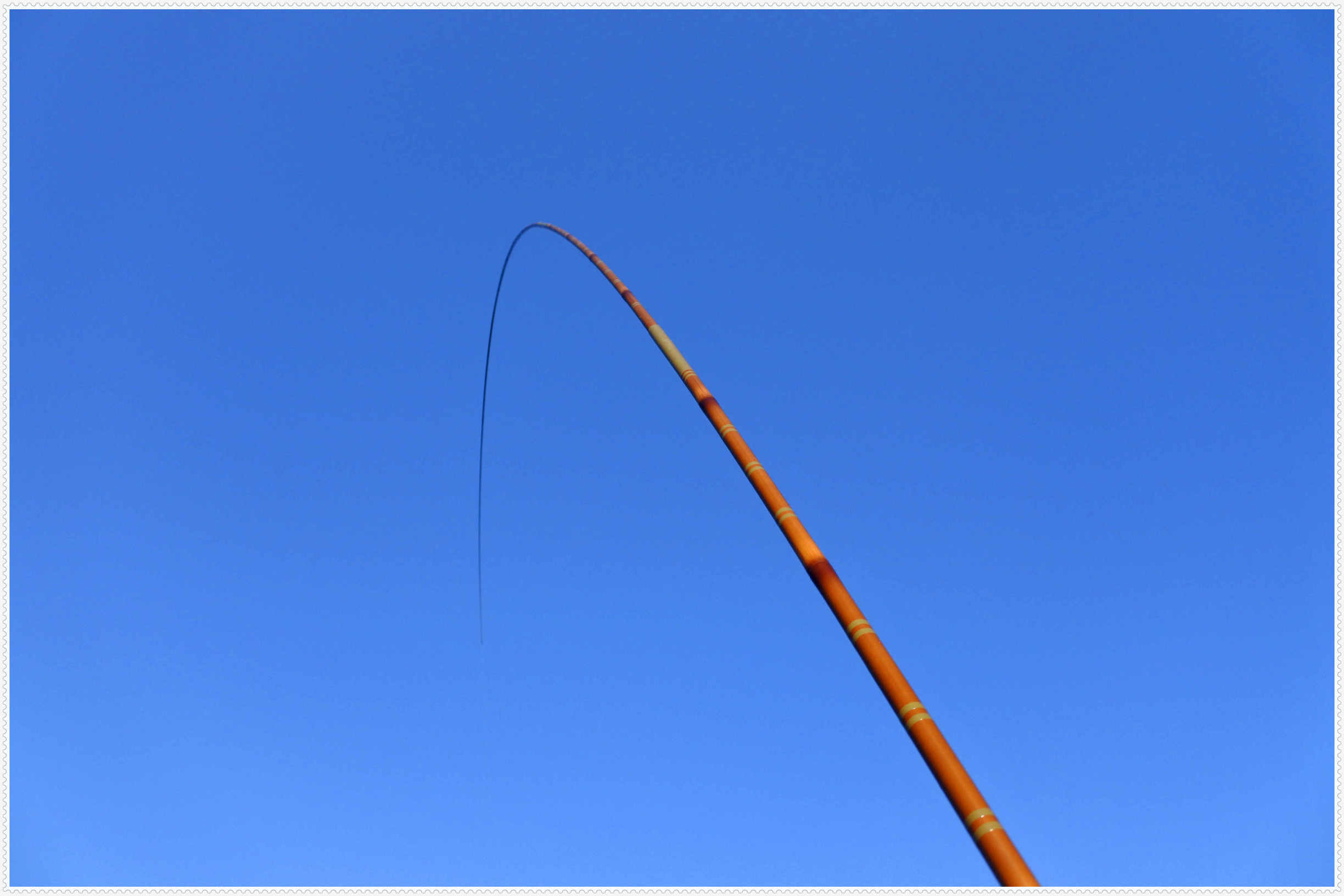 畅享春色京北水库激战黄金野鲤