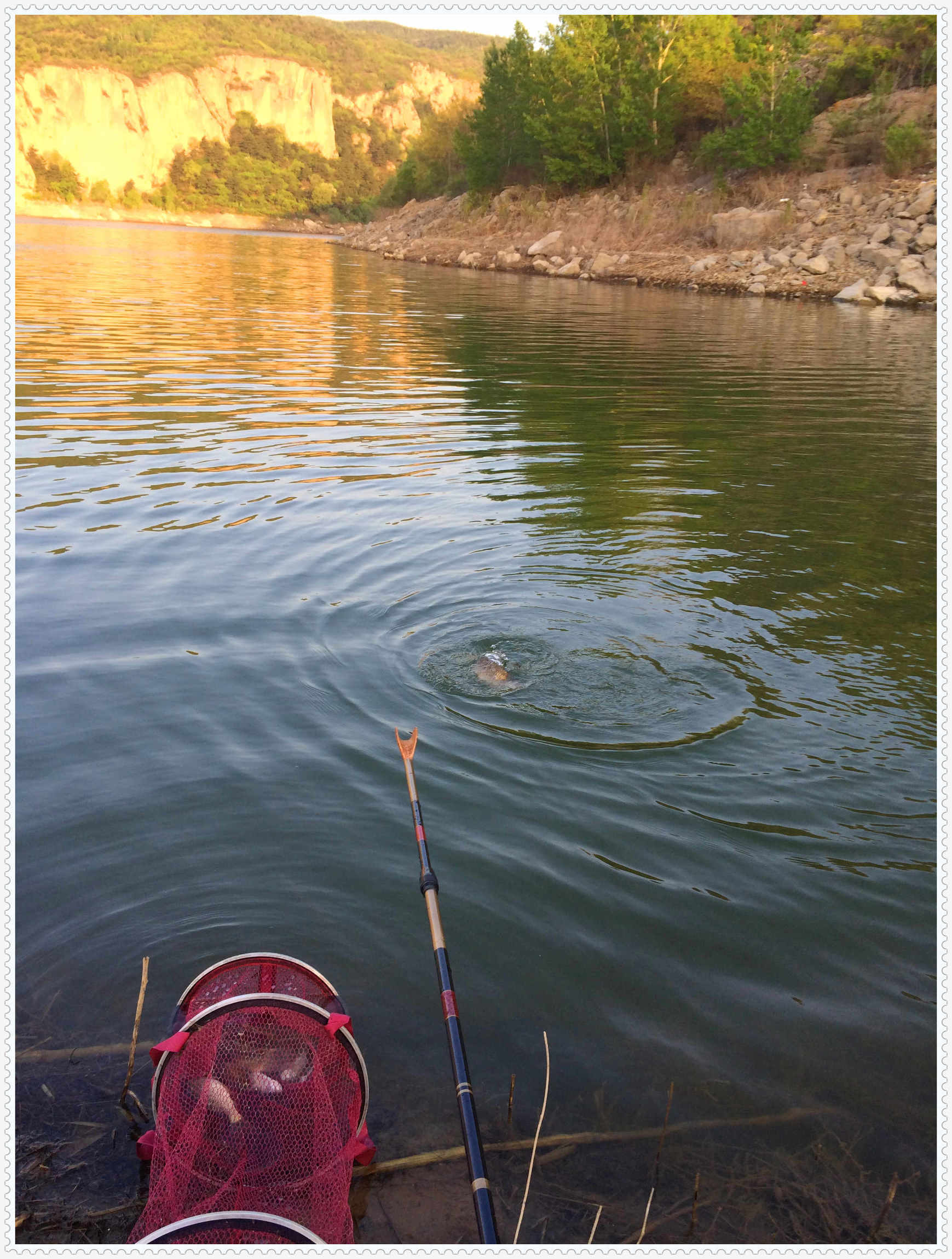 畅享春色京北水库激战黄金野鲤
