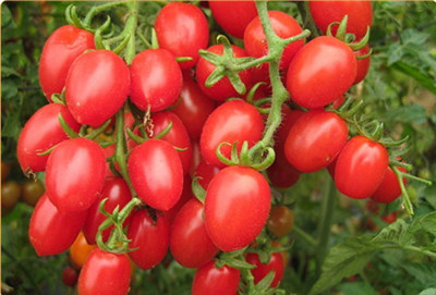 菠萝果汁名字大全,菠萝凤梨猕猴桃奇异果