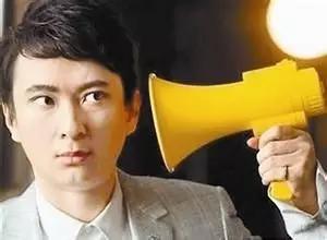 王思聪最奇葩的域名,王思聪花钱买域名