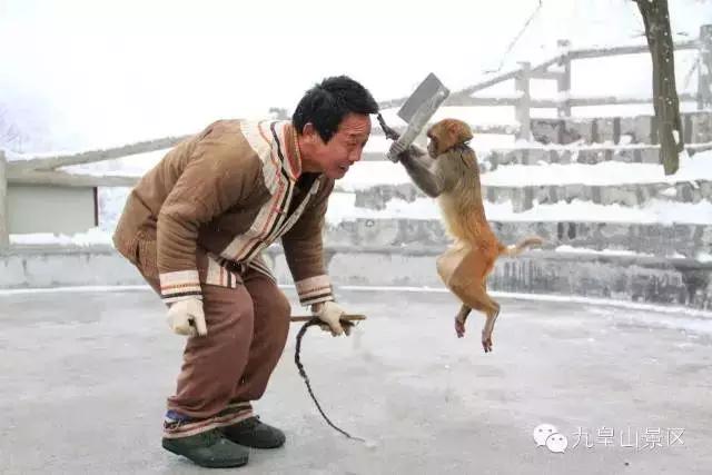 九皇山风景区,九顶皇山