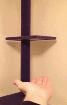 需要用大师球捕捉的宠物,用大师球养怪兽