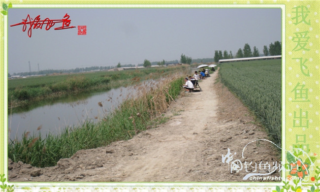 我爱飞鱼初探新钓点