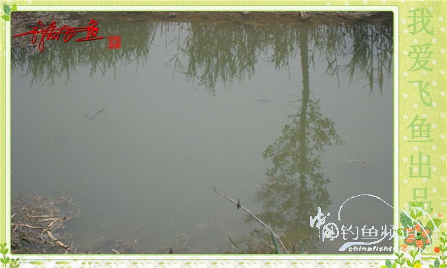 我爱飞鱼初探新钓点