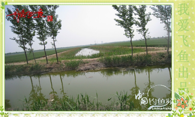 我爱飞鱼初探新钓点