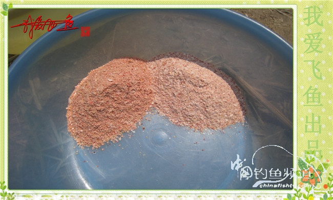 我爱飞鱼初探新钓点