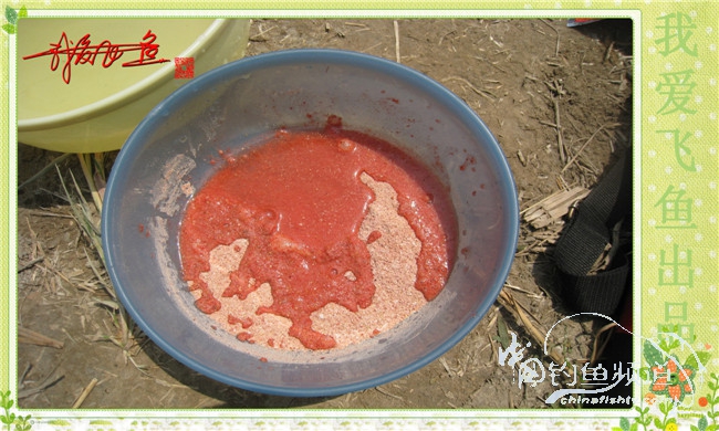 我爱飞鱼初探新钓点