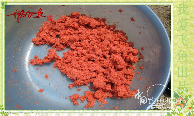 我爱飞鱼初探新钓点