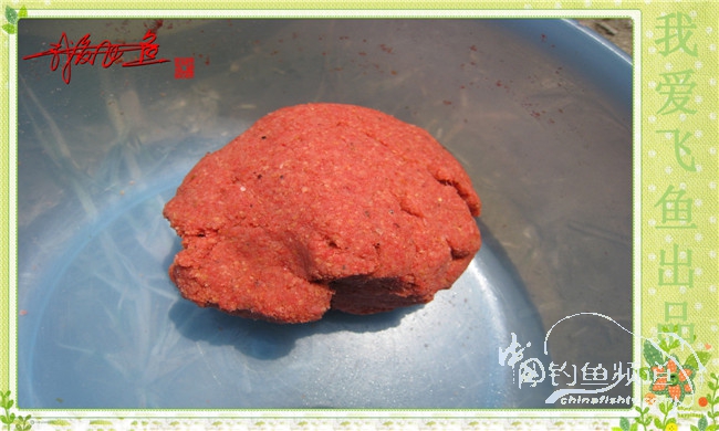 我爱飞鱼初探新钓点