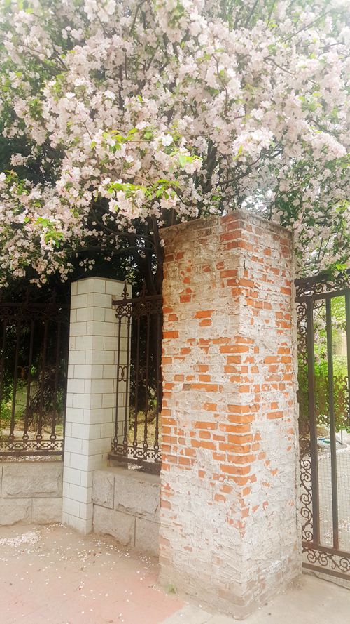 看乐亭小县城里的小市民,怎样装点生活