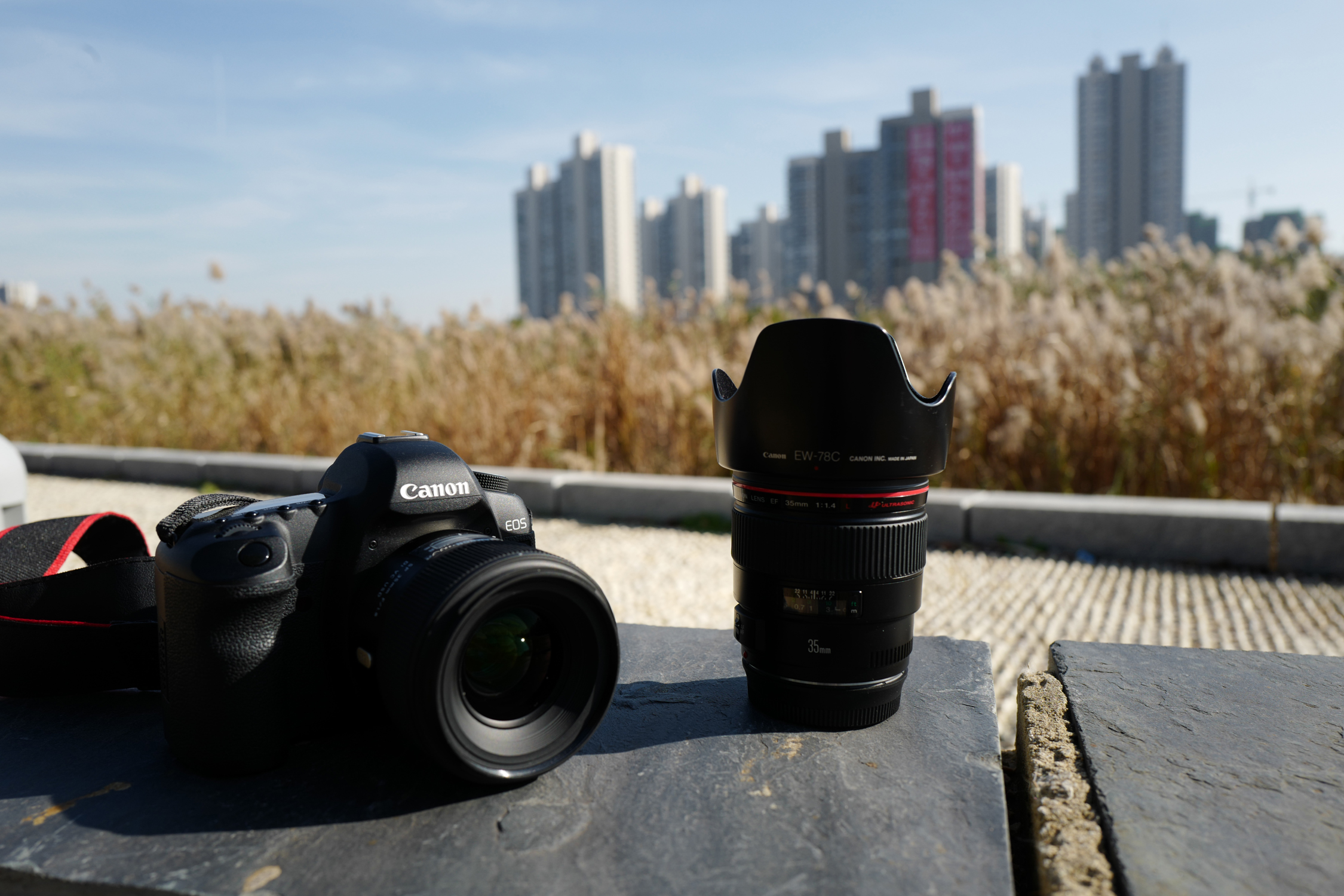 腾龙将要出的新镜头会是什么规格 (腾龙新旧镜头对比)