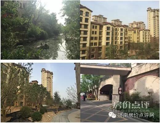 分析师走进蓝石大溪地,帮你收房