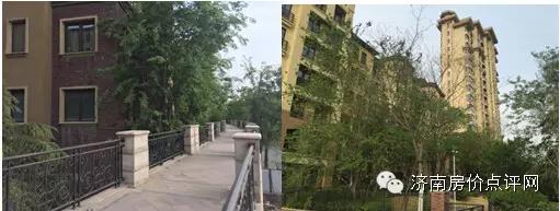 分析师走进蓝石大溪地,帮你收房