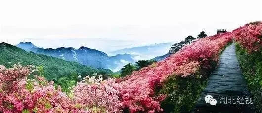 湖北哪个镇最富还最多,湖北哪个县最富