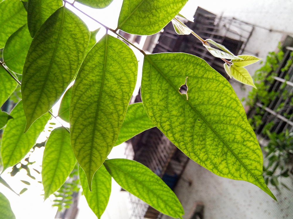 乐2评测,乐2pro深度测评