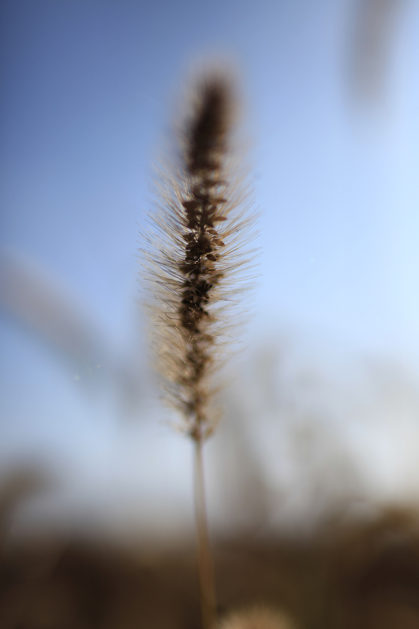 腾龙将要出的新镜头会是什么规格 (腾龙新旧镜头对比)