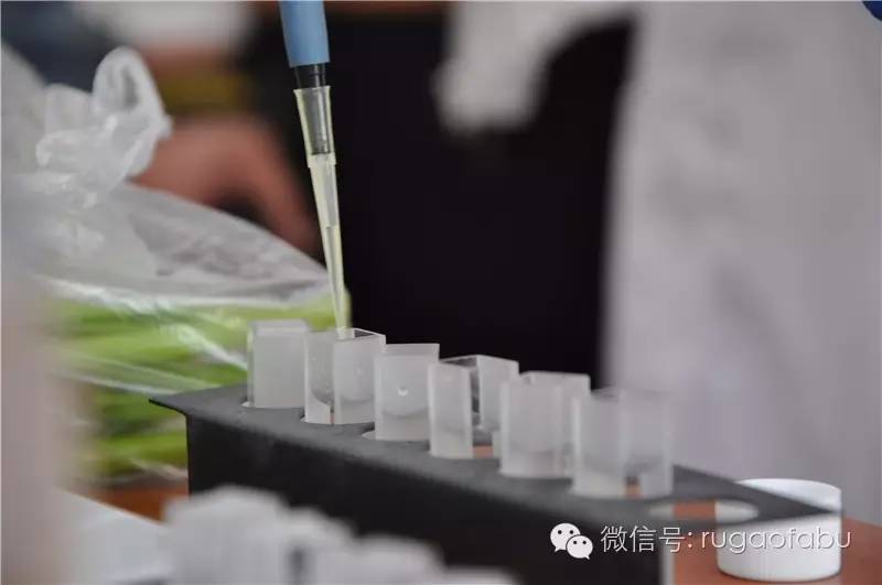 这个部门，太重要了！因为~