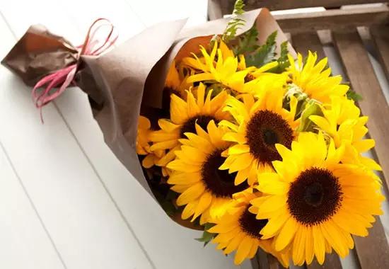 送花基本知识大全,送花常识和送花禁忌都有哪些