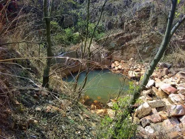 奔跑在路上看风景,奔跑着看风景视频