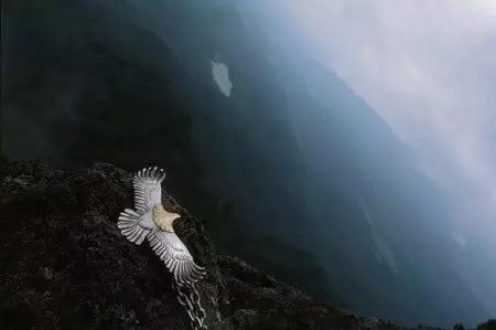 高桥吾郎,苦难的人生,可他依旧做出了万人追捧的银饰