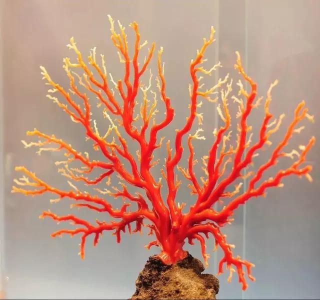 高桥吾郎,苦难的人生,可他依旧做出了万人追捧的银饰