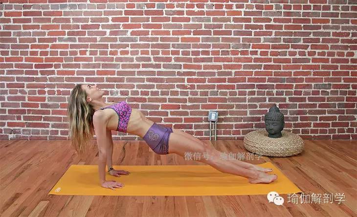 练臀部的瑜伽体式,想让臀部翘起来怎样练最快翘起来