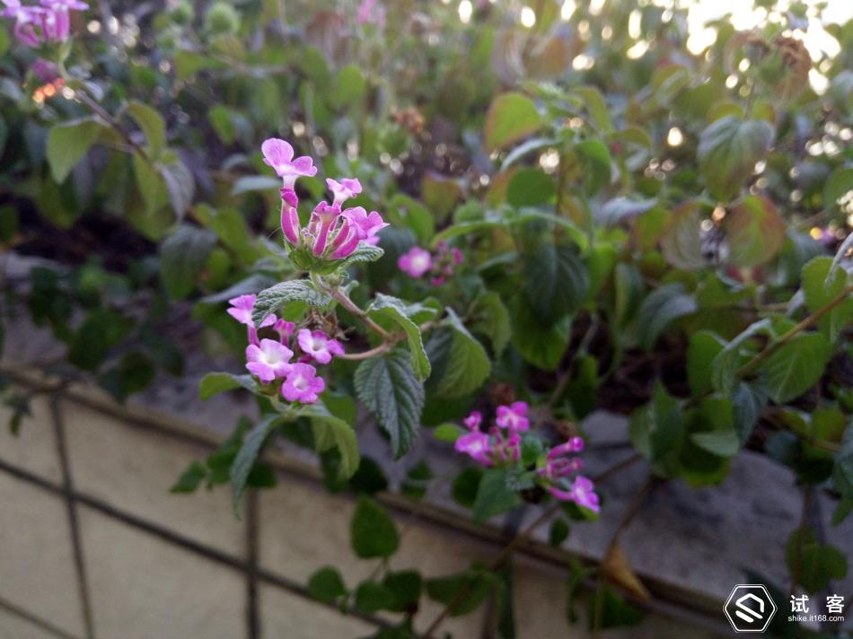 跟风不如领航，要多快有多快！vivoX6长测体验！