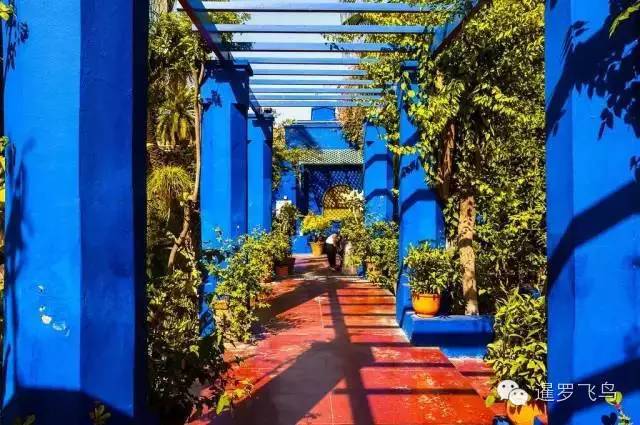 LP年度最佳三毛最爱北非后花园摩洛哥免签啦！