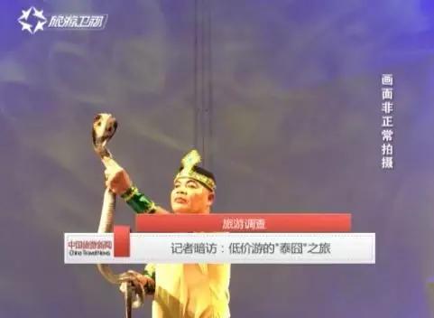 鳄鱼毒蛇、皇家珠宝,欢迎来到疯狂购物城!|独家