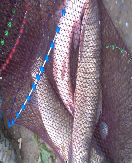 钓鱼的风向和风力,钓鱼风向原理