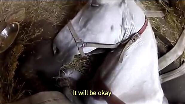 马卡深坑生命垂危，主人的一句话令它产生求生欲望，重获自由