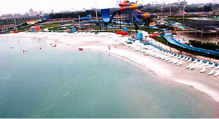 统一冰红茶拉罐整箱,统一冰红茶推广视频