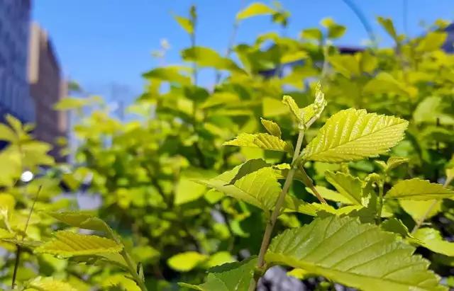 夏日乐悠最新视频,夏日乐悠游