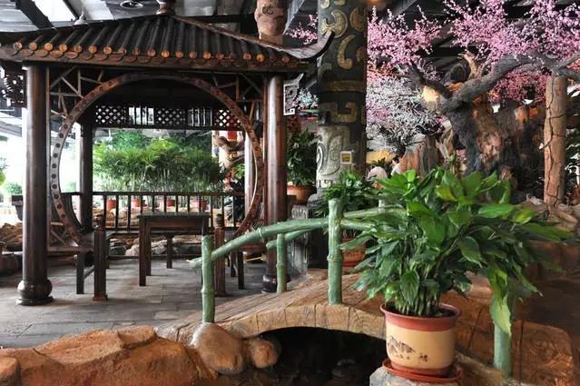 夏日乐悠最新视频,夏日乐悠游