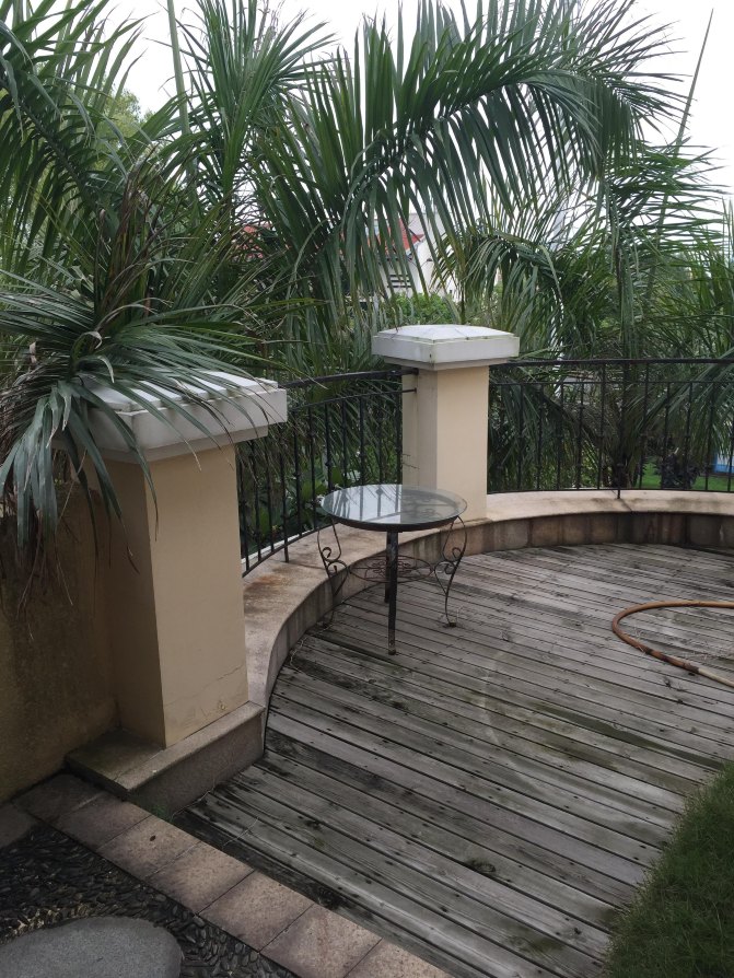 鼓浪屿自驾游全攻略,厦门鼓浪屿登岛全攻略