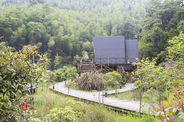 养在深闺里无人知,养在深闺无人识全文