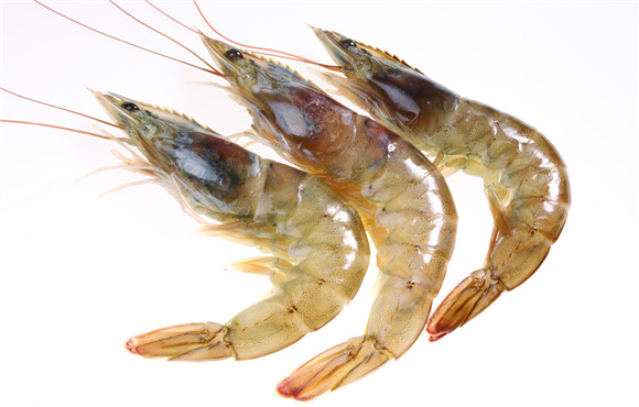 活虾里面有死虾能吃吗,头身分离的死虾还能吃吗