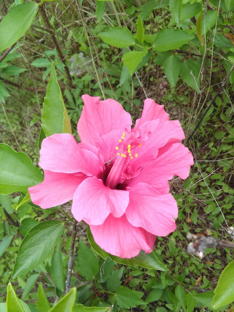 圆润*轻薄爱不释手---体验最美老人机21克M3手机