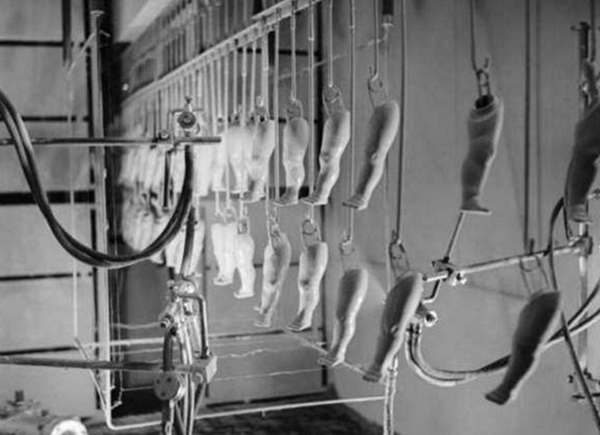 可怕人偶娃娃儿童,可怕人偶娃娃真实事件