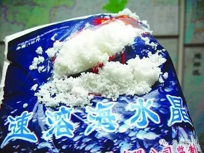 往水里扔一把“白色粉末”,一动不动的花蛤立马“回光返照”!这