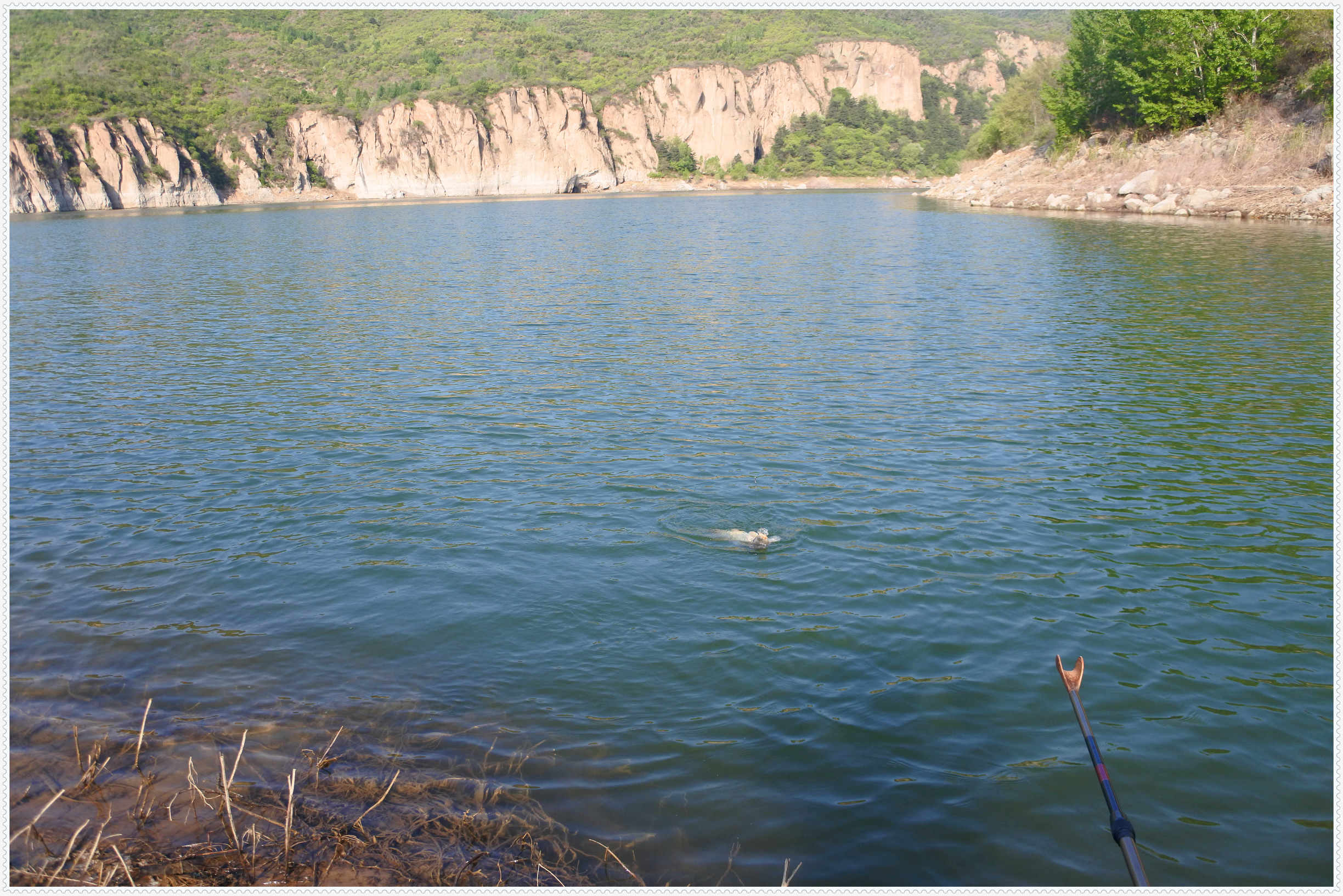 畅享春色京北水库激战黄金野鲤