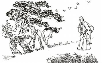 胎神传说,胎神的由来