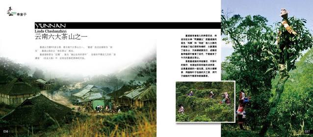 基诺山茶山徒步,六大古茶山之首