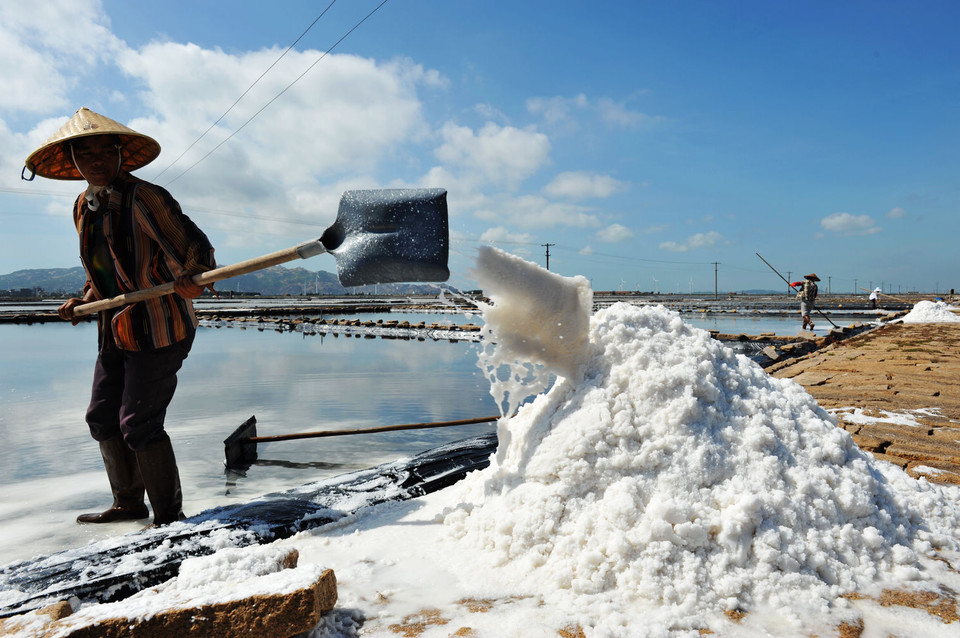 关于食盐的故事视频,关于盐的问题